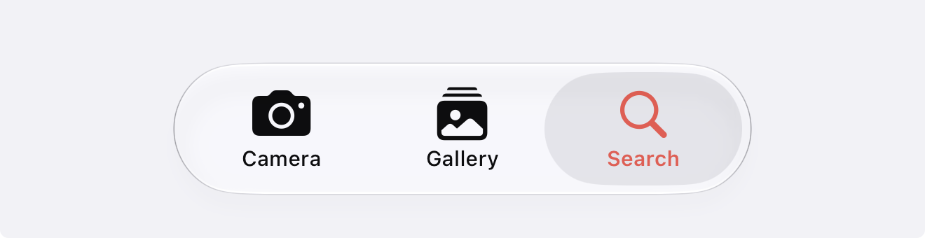 The bottom tab bar with Camera, Gallery, and Search tabs